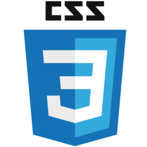 css3 logo